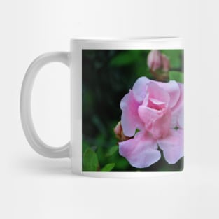 Raindrops On Pink Rose Mug